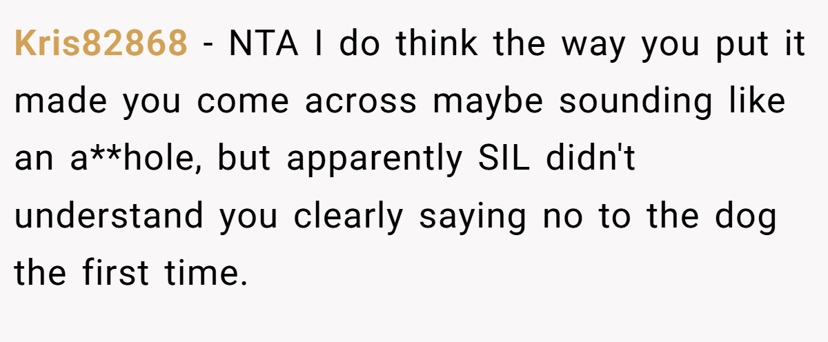 Kris82868 − NTA I do think the way you put it made you come across maybe sounding like an a**hole, but apparently SIL didn't understand you clearly saying no to the dog the first time.