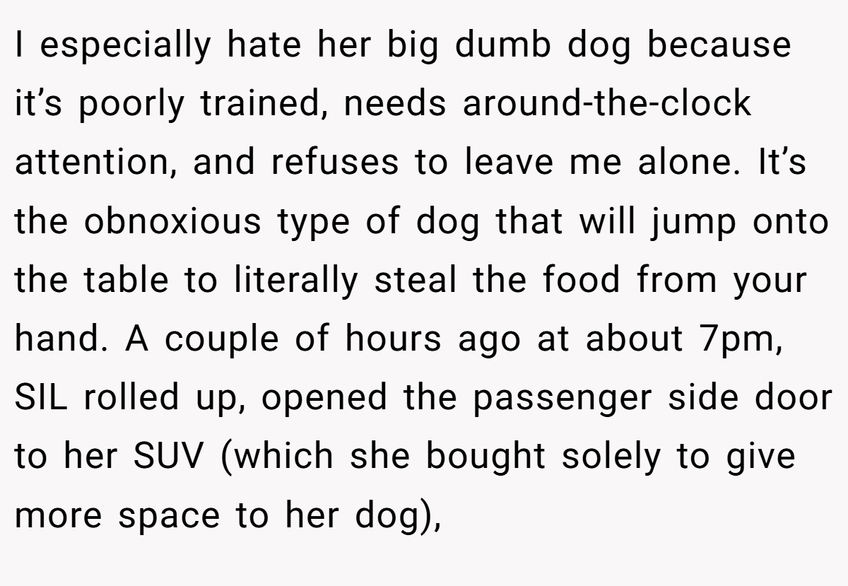 I especially hate her big dumb dog because it’s poorly trained, needs around-the-clock attention, and refuses to leave me alone. It’s the obnoxious type of dog that will jump onto the table to literally steal the food from your hand. A couple of hours ago at about 7pm, SIL rolled up, opened the passenger side door to her SUV (which she bought solely to give more space to her dog),