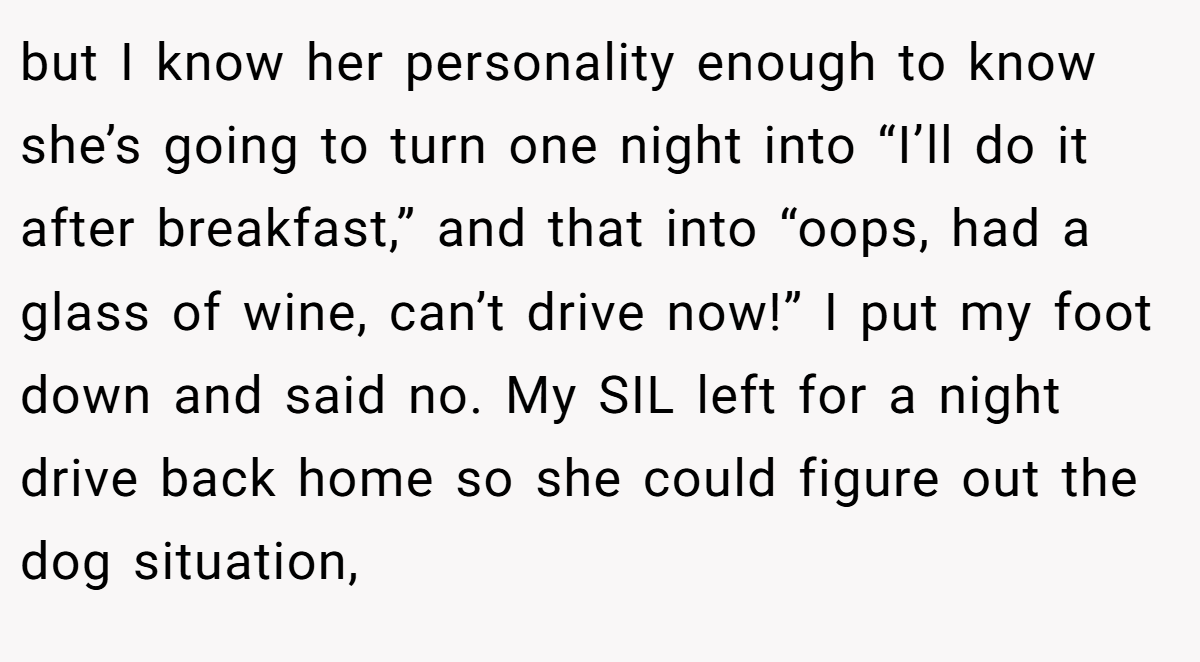 but I know her personality enough to know she’s going to turn one night into “I’ll do it after breakfast,” and that into “oops, had a glass of wine, can’t drive now!” I put my foot down and said no. My SIL left for a night drive back home so she could figure out the dog situation,