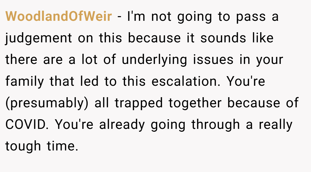 WoodlandOfWeir − I'm not going to pass a judgement on this because it sounds like there are a lot of underlying issues in your family that led to this escalation. You're (presumably) all trapped together because of COVID. You're already going through a really tough time.