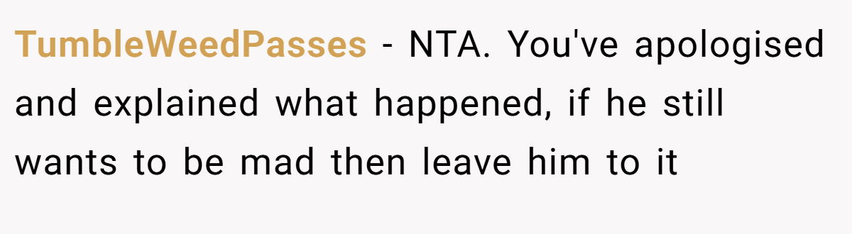 TumbleWeedPasses − NTA. You've apologised and explained what happened, if he still wants to be mad then leave him to it