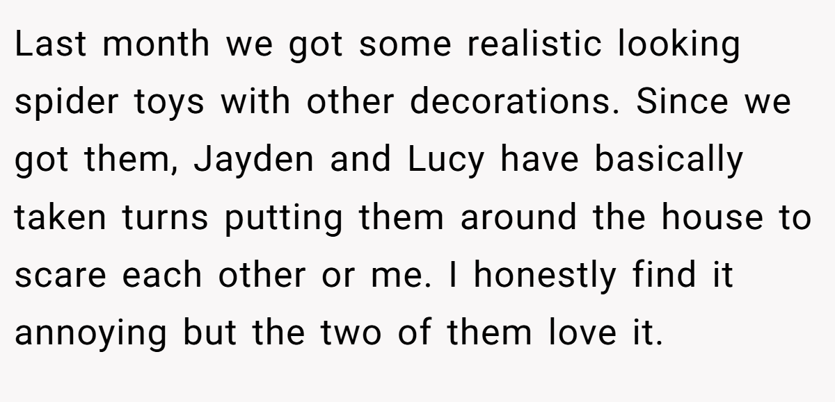 Last month we got some realistic looking spider toys with other decorations. Since we got them, Jayden and Lucy have basically taken turns putting them around the house to scare each other or me. I honestly find it annoying but the two of them love it.