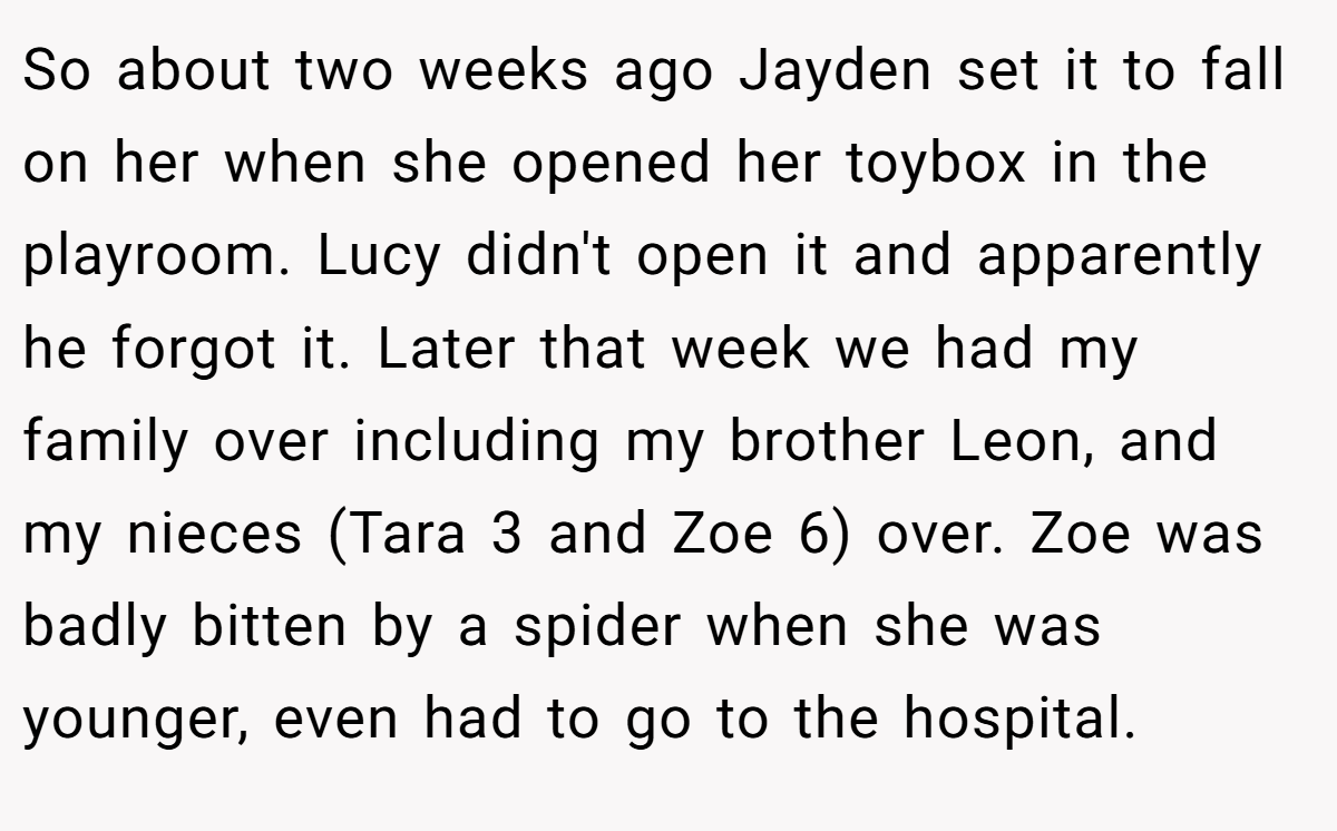 So about two weeks ago Jayden set it to fall on her when she opened her toybox in the playroom. Lucy didn't open it and apparently he forgot it. Later that week we had my family over including my brother Leon, and my nieces (Tara 3 and Zoe 6) over. Zoe was badly bitten by a spider when she was younger, even had to go to the hospital.