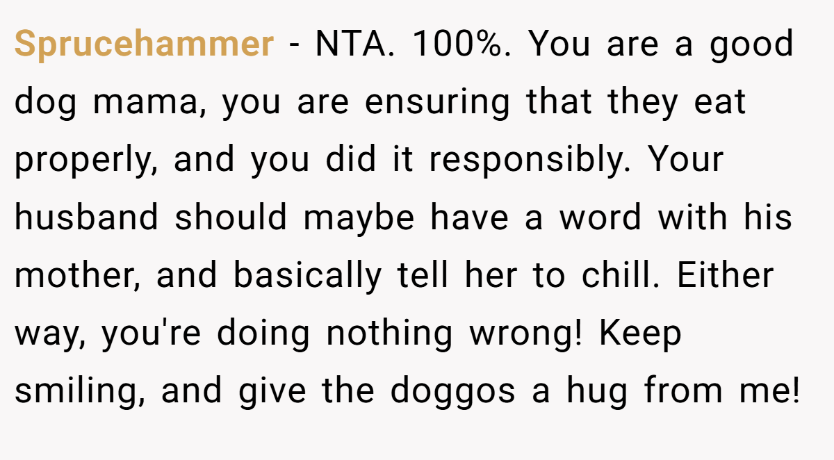 Sprucehammer - NTA. 100%. You are a good dog mama, you are ensuring that they eat properly, and you did it responsibly. Your husband should maybe have a word with his mother, and basically tell her to chill. Either way, you're doing nothing wrong! Keep smiling, and give the doggos a hug from me!