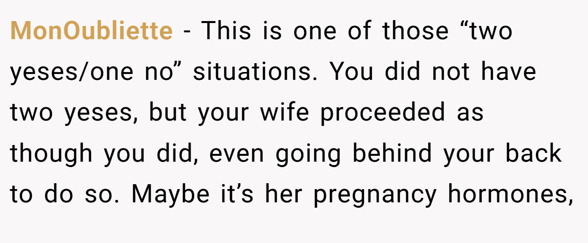 MonOubliette - This is one of those “two yeses/one no” situations. You did not have two yeses, but your wife proceeded as though you did, even going behind your back to do so. Maybe it’s her pregnancy hormones,