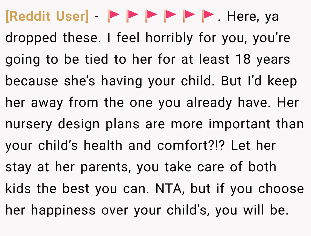 [Reddit User] − 🚩🚩🚩🚩🚩🚩. Here, ya dropped these. I feel horribly for you, you’re going to be tied to her for at least 18 years because she’s having your child. But I’d keep her away from the one you already have. Her nursery design plans are more important than your child’s health and comfort?!? Let her stay at her parents, you take care of both kids the best you can. NTA, but if you choose her happiness over your child’s, you will be.