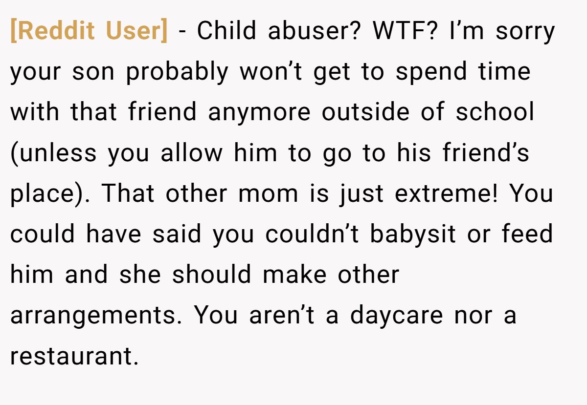 [Reddit User] - Child abuser? WTF? I’m sorry your son probably won’t get to spend time with that friend anymore outside of school (unless you allow him to go to his friend’s place). That other mom is just extreme! You could have said you couldn’t babysit or feed him and she should make other arrangements. You aren’t a daycare nor a restaurant.
