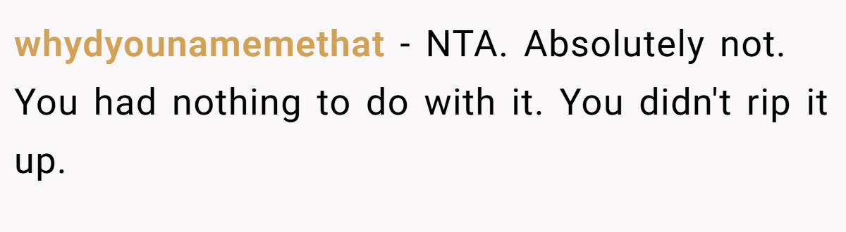 whydyounamemethat − NTA. Absolutely not. You had nothing to do with it. You didn't rip it up.