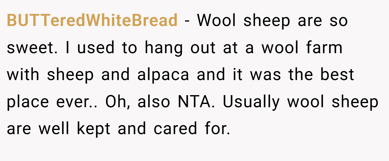 BUTTeredWhiteBread - Wool sheep are so sweet. I used to hang out at a wool farm with sheep and alpaca and it was the best place ever.. Oh, also NTA. Usually wool sheep are well kept and cared for.