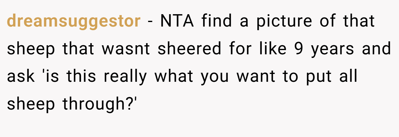 dreamsuggestor - NTA find a picture of that sheep that wasnt sheered for like 9 years and ask 'is this really what you want to put all sheep through?'