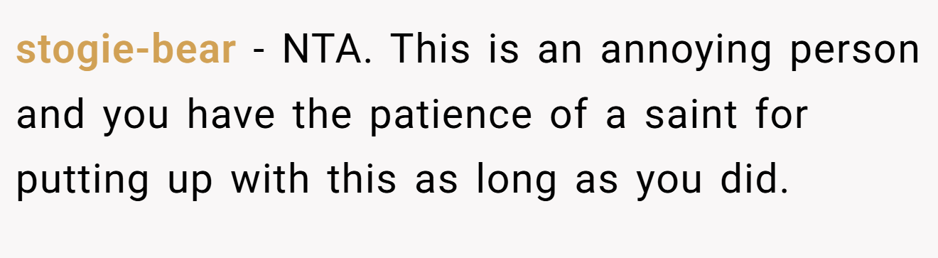 stogie-bear - NTA. This is an annoying person and you have the patience of a saint for putting up with this as long as you did.