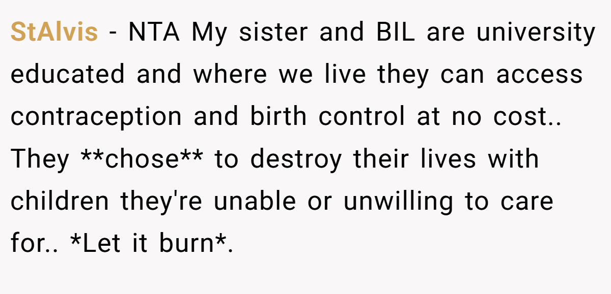 StAlvis − NTA My sister and BIL are university educated and where we live they can access contraception and birth control at no cost.. They **chose** to destroy their lives with children they're unable or unwilling to care for.. *Let it burn*.