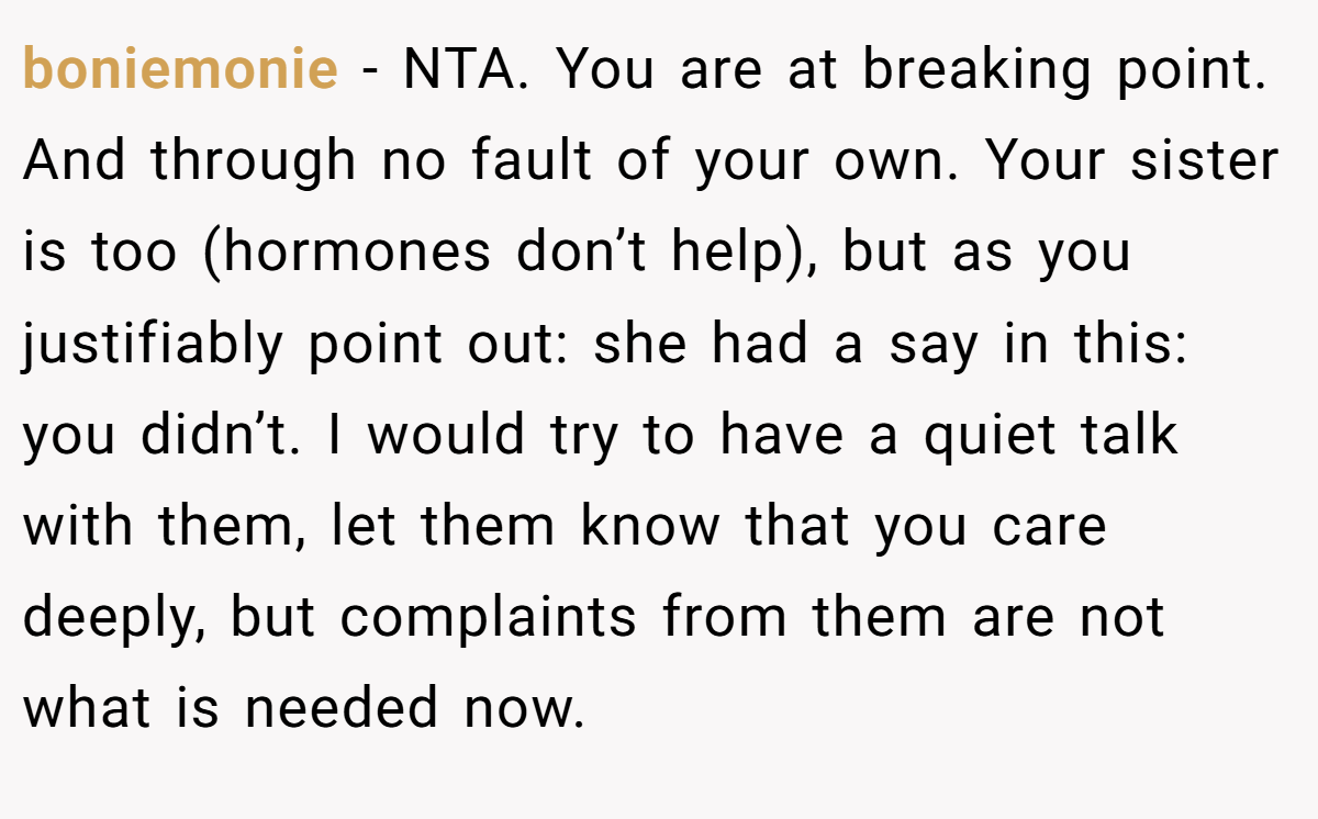 boniemonie − NTA. You are at breaking point. And through no fault of your own. Your sister is too (hormones don’t help), but as you justifiably point out: she had a say in this: you didn’t. I would try to have a quiet talk with them, let them know that you care deeply, but complaints from them are not what is needed now.