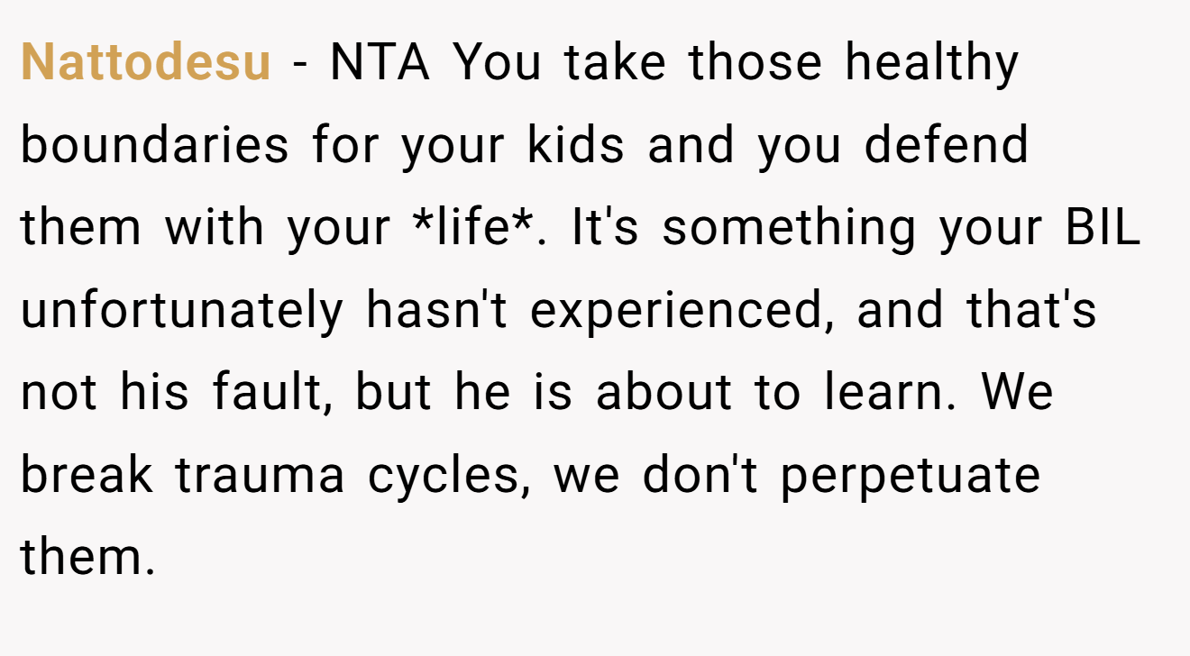 Nattodesu - NTA You take those healthy boundaries for your kids and you defend them with your *life*. It's something your BIL unfortunately hasn't experienced, and that's not his fault, but he is about to learn. We break trauma cycles, we don't perpetuate them.