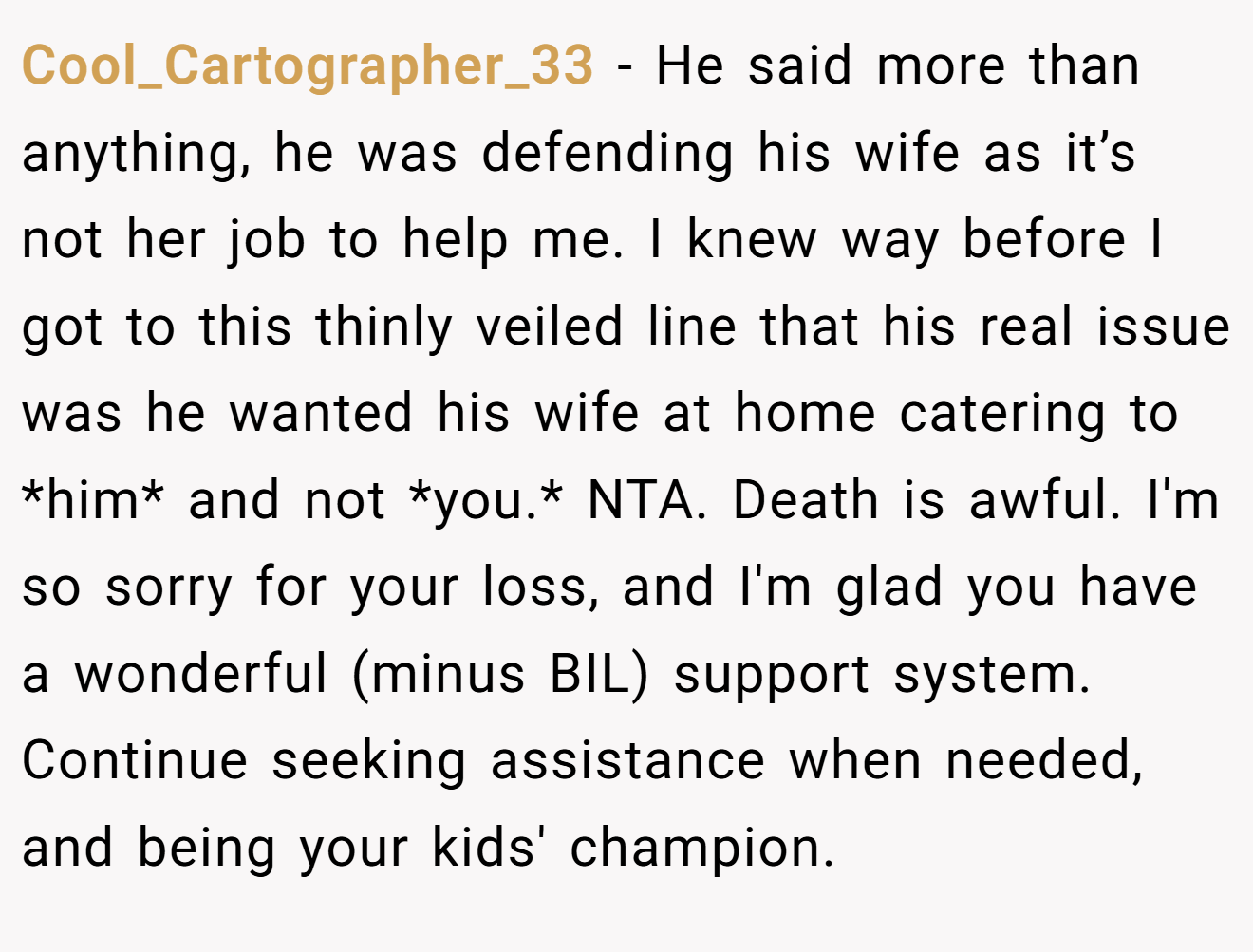 Cool_Cartographer_33 - He said more than anything, he was defending his wife as it’s not her job to help me. I knew way before I got to this thinly veiled line that his real issue was he wanted his wife at home catering to *him* and not *you.* NTA. Death is awful. I'm so sorry for your loss, and I'm glad you have a wonderful (minus BIL) support system. Continue seeking assistance when needed, and being your kids' champion.