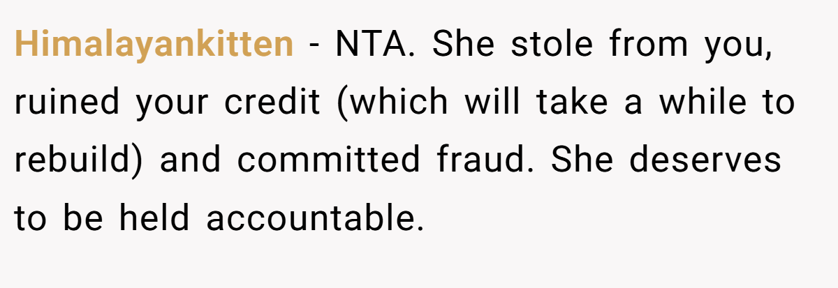 Himalayankitten − NTA. She stole from you, ruined your credit (which will take a while to rebuild) and committed fraud. She deserves to be held accountable.