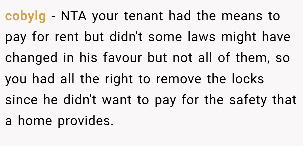 cobylg − NTA your tenant had the means to pay for rent but didn't some laws might have changed in his favour but not all of them, so you had all the right to remove the locks since he didn't want to pay for the safety that a home provides.