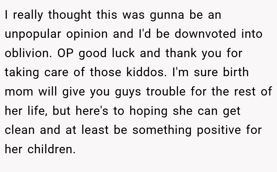 I really thought this was gunna be an unpopular opinion and I'd be downvoted into oblivion. OP good luck and thank you for taking care of those kiddos. I'm sure birth mom will give you guys trouble for the rest of her life, but here's to hoping she can get clean and at least be something positive for her children.