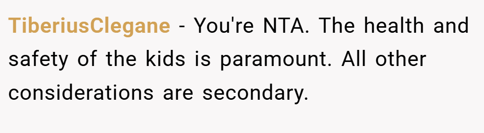 TiberiusClegane − You're NTA. The health and safety of the kids is paramount. All other considerations are secondary.