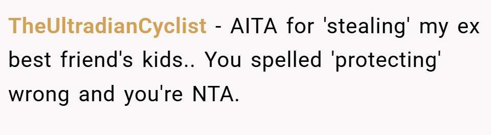 TheUltradianCyclist − AITA for 'stealing' my ex best friend's kids.. You spelled 'protecting' wrong and you're NTA.