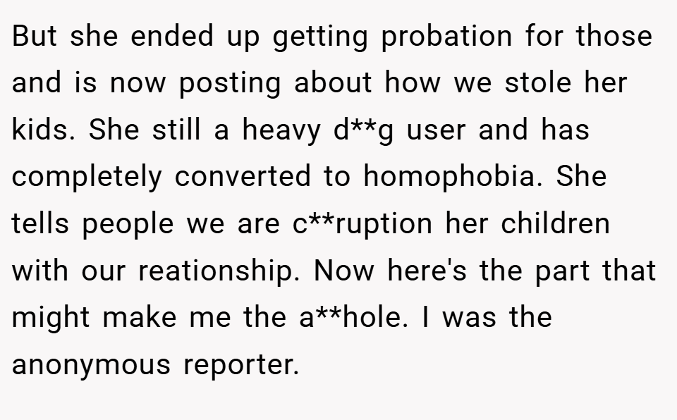 But she ended up getting probation for those and is now posting about how we stole her kids. She still a heavy d**g user and has completely converted to homophobia. She tells people we are c**ruption her children with our reationship. Now here's the part that might make me the a**hole. I was the anonymous reporter.