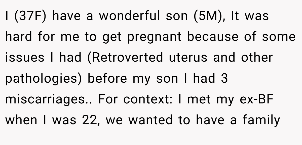 I (37F) have a wonderful son (5M), It was hard for me to get pregnant because of some issues I had (Retroverted uterus and other pathologies) before my son I had 3 miscarriages.. For context: I met my ex-BF when I was 22, we wanted to have a family
