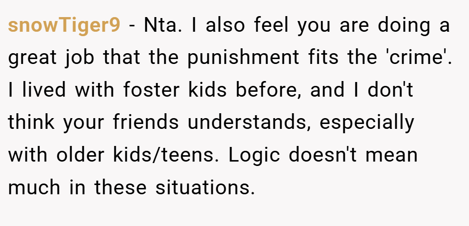 snowTiger9 − Nta. I also feel you are doing a great job that the punishment fits the 'crime'. I lived with foster kids before, and I don't think your friends understands, especially with older kids/teens. Logic doesn't mean much in these situations.