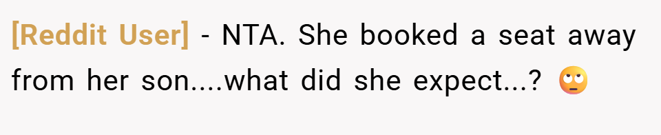 [Reddit User] − NTA. She booked a seat away from her son....what did she expect...? 🙄
