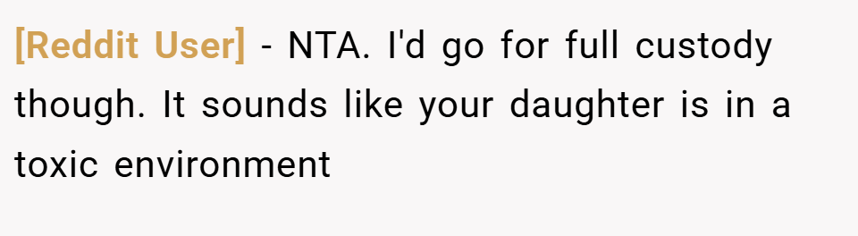 [Reddit User] − NTA. I'd go for full custody though. It sounds like your daughter is in a toxic environment