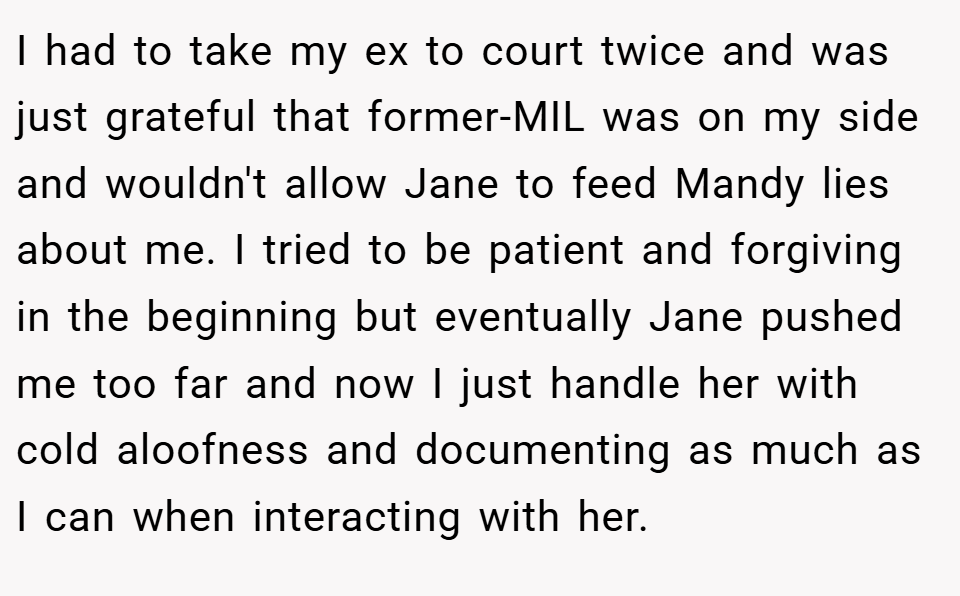 I had to take my ex to court twice and was just grateful that former-MIL was on my side and wouldn't allow Jane to feed Mandy lies about me. I tried to be patient and forgiving in the beginning but eventually Jane pushed me too far and now I just handle her with cold aloofness and documenting as much as I can when interacting with her.