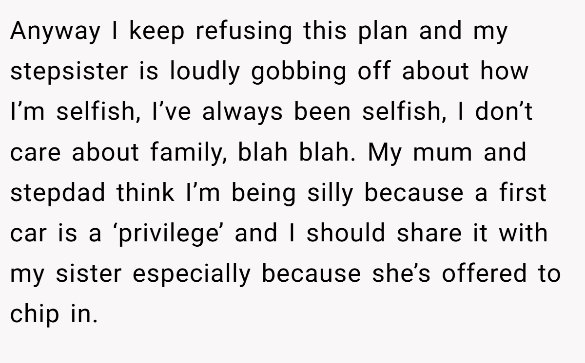 Anyway I keep refusing this plan and my stepsister is loudly gobbing off about how I’m selfish, I’ve always been selfish, I don’t care about family, blah blah. My mum and stepdad think I’m being silly because a first car is a ‘privilege’ and I should share it with my sister especially because she’s offered to chip in.