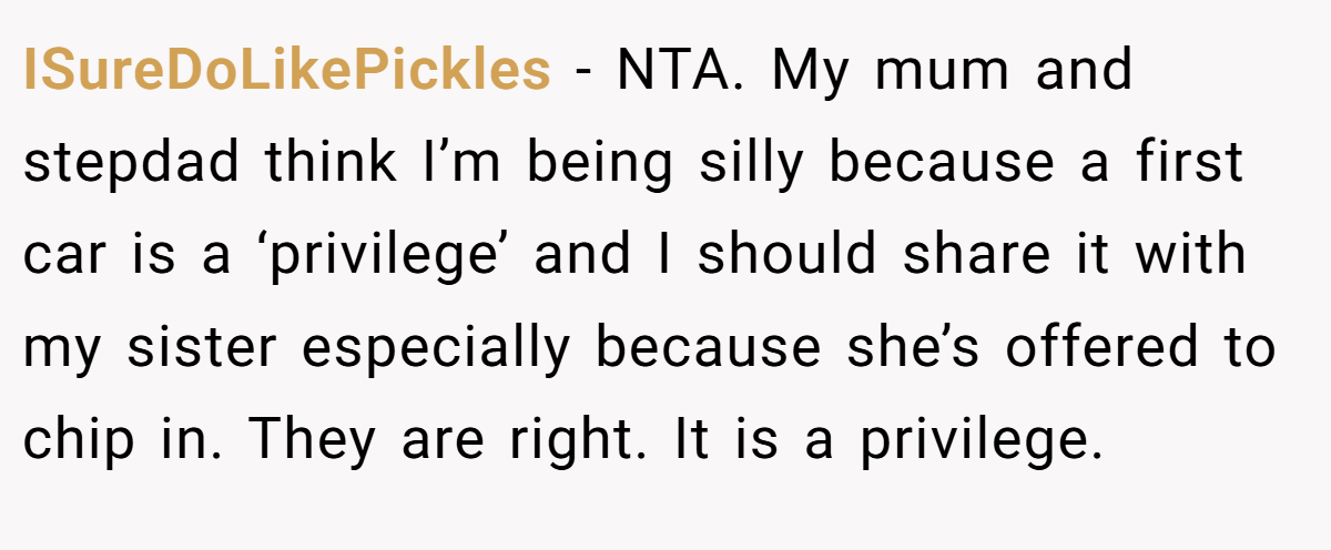 ISureDoLikePickles - NTA. My mum and stepdad think I’m being silly because a first car is a ‘privilege’ and I should share it with my sister especially because she’s offered to chip in. They are right. It is a privilege.