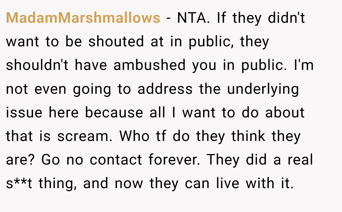 MadamMarshmallows − NTA. If they didn't want to be shouted at in public, they shouldn't have ambushed you in public. I'm not even going to address the underlying issue here because all I want to do about that is scream. Who tf do they think they are? Go no contact forever. They did a real s**t thing, and now they can live with it.