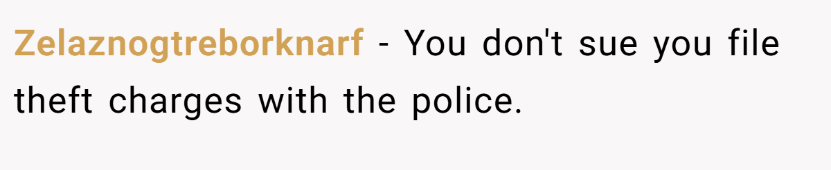 Zelaznogtreborknarf - You don't sue you file theft charges with the police.