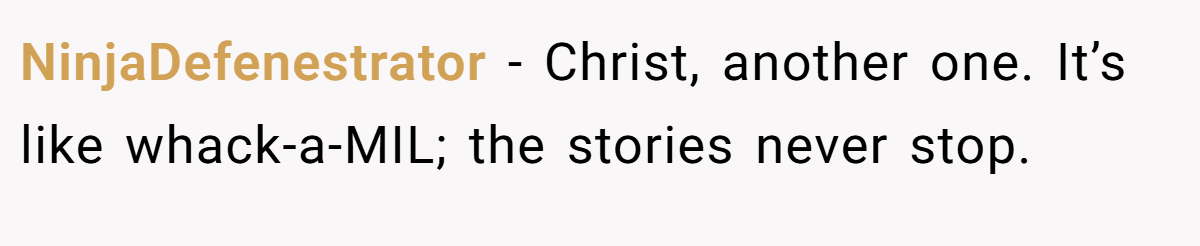 NinjaDefenestrator − Christ, another one. It’s like whack-a-MIL; the stories never stop.