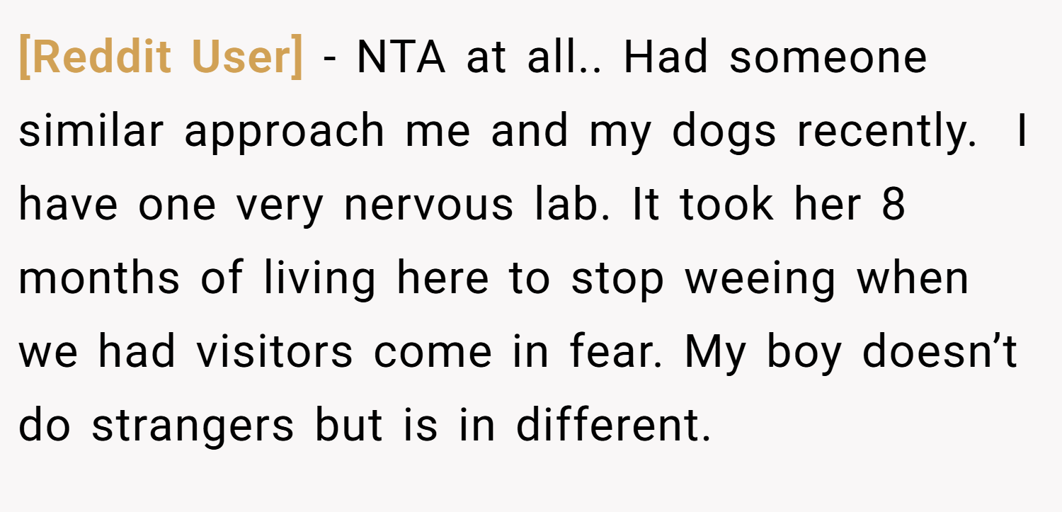 [Reddit User] − NTA at all.. Had someone similar approach me and my dogs recently.  I have one very nervous lab. It took her 8 months of living here to stop weeing when we had visitors come in fear. My boy doesn’t do strangers but is in different.