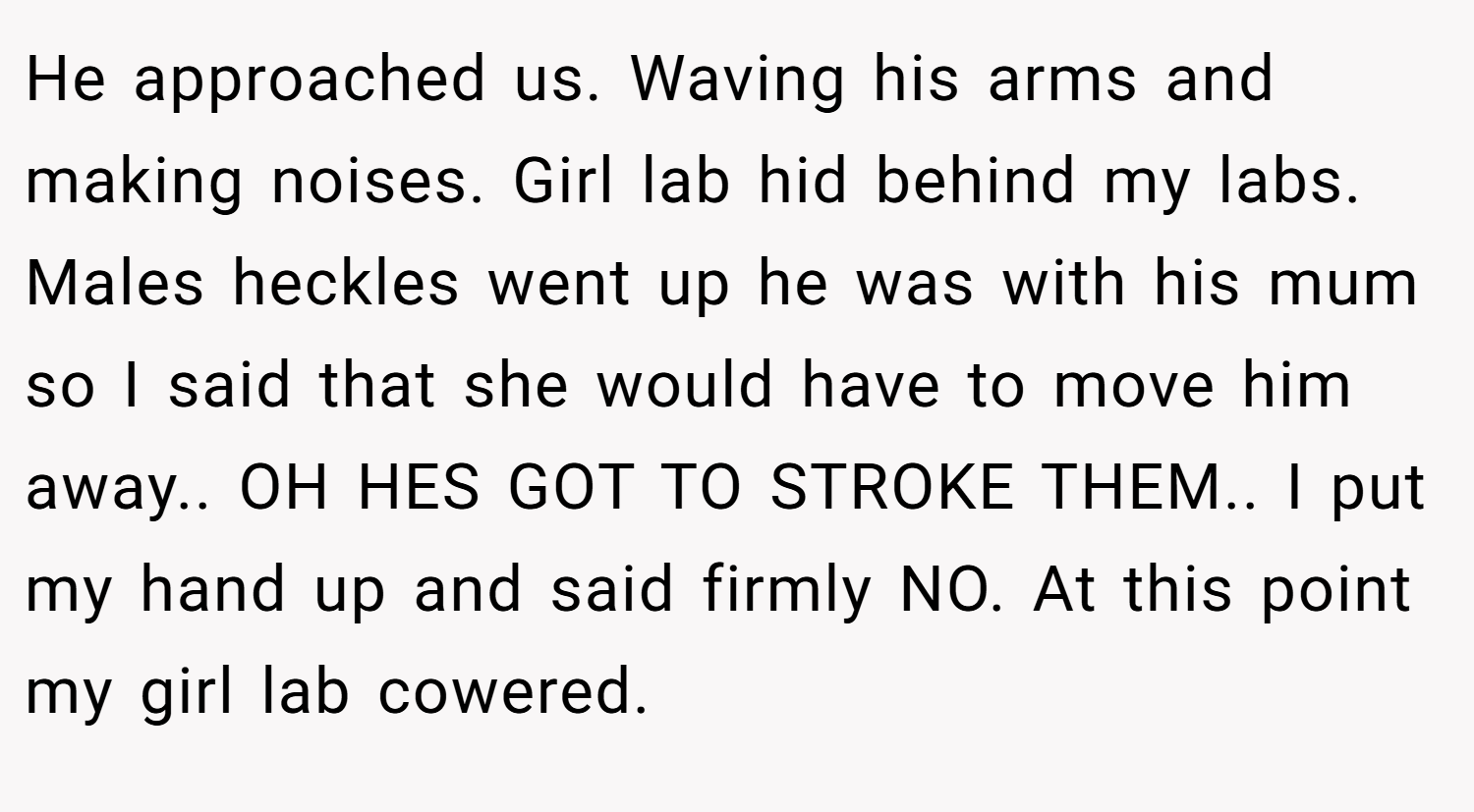 He approached us. Waving his arms and making noises. Girl lab hid behind my labs. Males heckles went up he was with his mum so I said that she would have to move him away.. OH HES GOT TO STROKE THEM.. I put my hand up and said firmly NO. At this point my girl lab cowered.