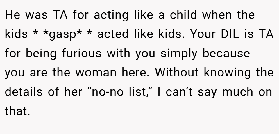 He was TA for acting like a child when the kids * *gasp* * acted like kids. Your DIL is TA for being furious with you simply because you are the woman here. Without knowing the details of her “no-no list,” I can’t say much on that.