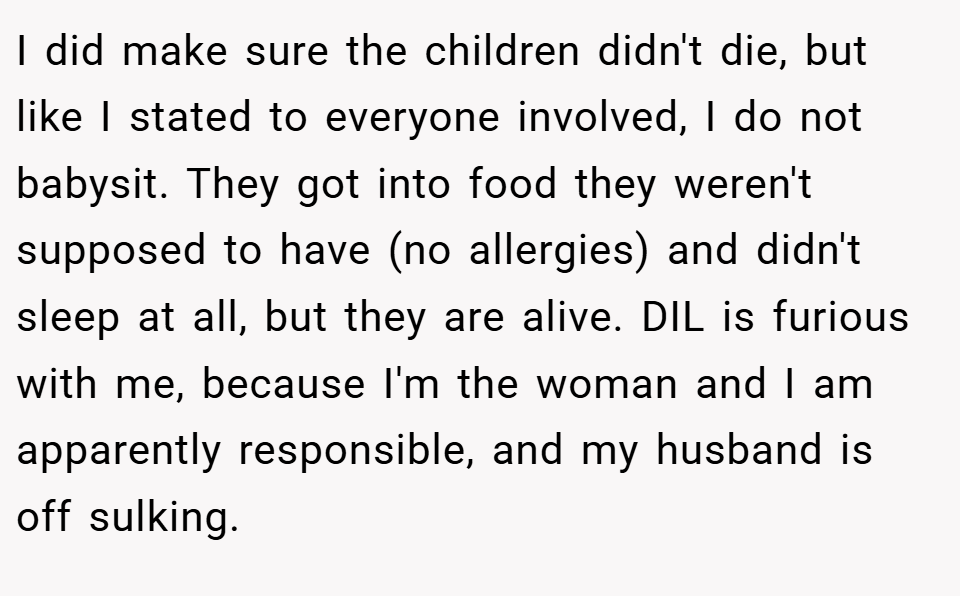 I did make sure the children didn't die, but like I stated to everyone involved, I do not babysit. They got into food they weren't supposed to have (no allergies) and didn't sleep at all, but they are alive. DIL is furious with me, because I'm the woman and I am apparently responsible, and my husband is off sulking.