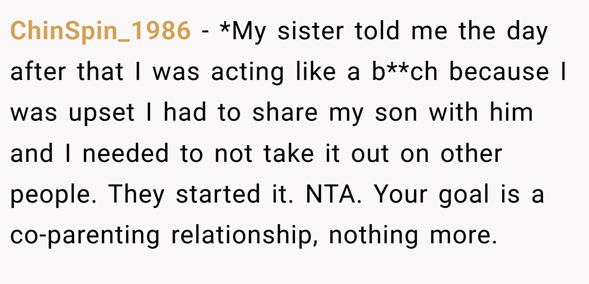 ChinSpin_1986 - *My sister told me the day after that I was acting like a b**ch because I was upset I had to share my son with him and I needed to not take it out on other people. They started it. NTA. Your goal is a co-parenting relationship, nothing more.