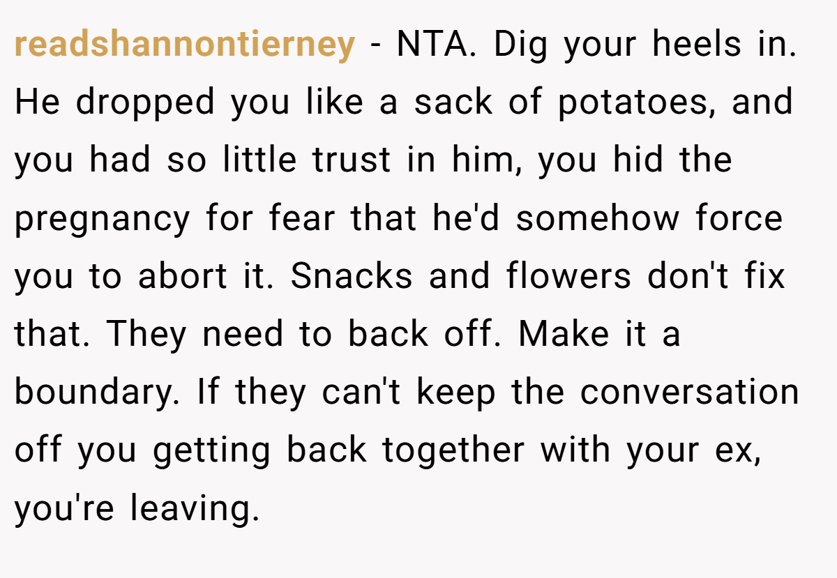 readshannontierney - NTA. Dig your heels in. He dropped you like a sack of potatoes, and you had so little trust in him, you hid the pregnancy for fear that he'd somehow force you to abort it. Snacks and flowers don't fix that. They need to back off. Make it a boundary. If they can't keep the conversation off you getting back together with your ex, you're leaving.