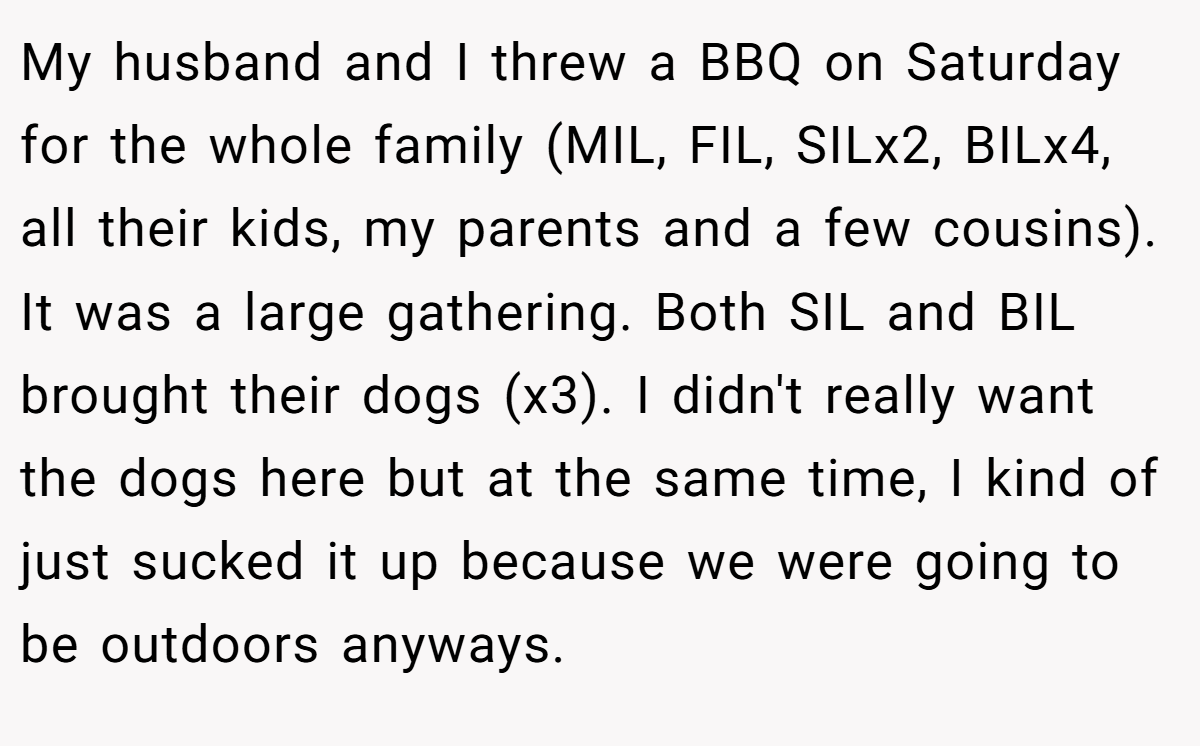 My husband and I threw a BBQ on Saturday for the whole family (MIL, FIL, SILx2, BILx4, all their kids, my parents and a few cousins). It was a large gathering. Both SIL and BIL brought their dogs (x3). I didn't really want the dogs here but at the same time, I kind of just sucked it up because we were going to be outdoors anyways.