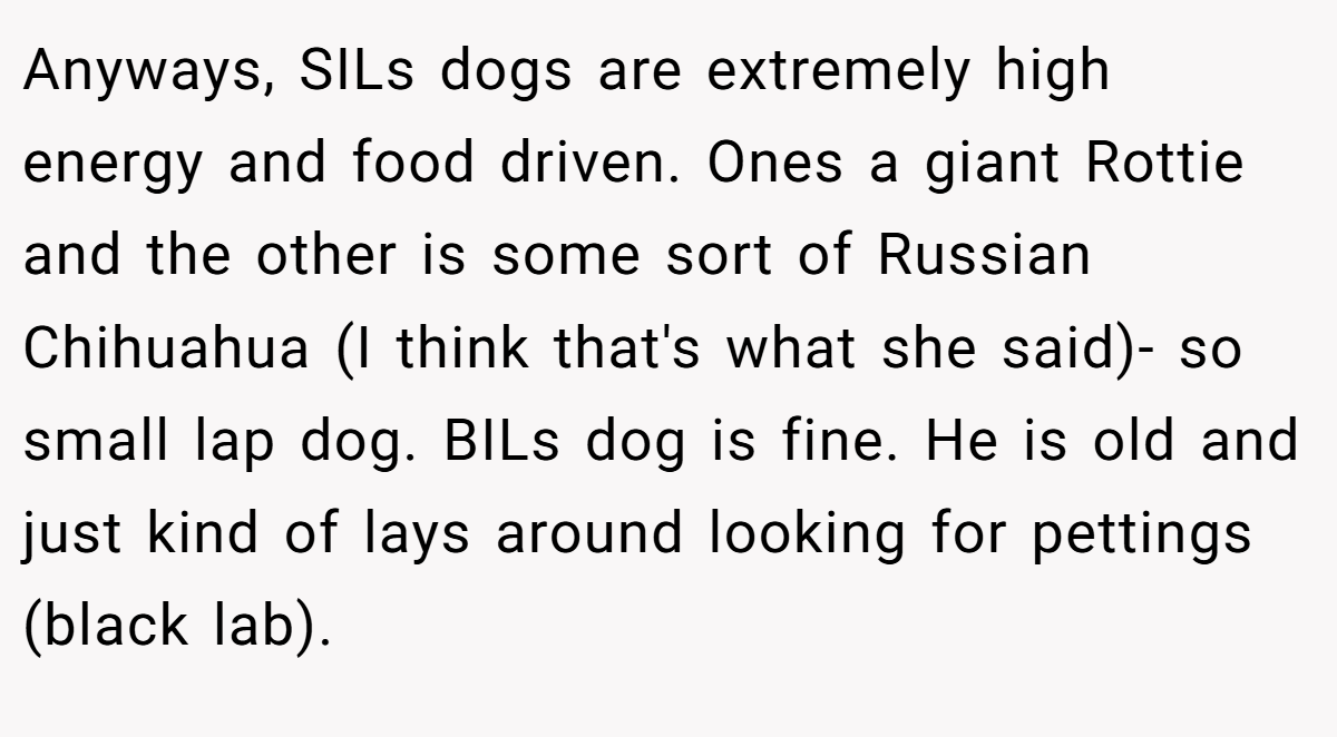 Anyways, SILs dogs are extremely high energy and food driven. Ones a giant Rottie and the other is some sort of Russian Chihuahua (I think that's what she said)- so small lap dog. BILs dog is fine. He is old and just kind of lays around looking for pettings (black lab).