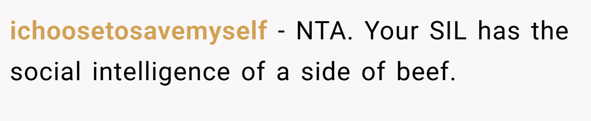 ichoosetosavemyself - NTA. Your SIL has the social intelligence of a side of beef.