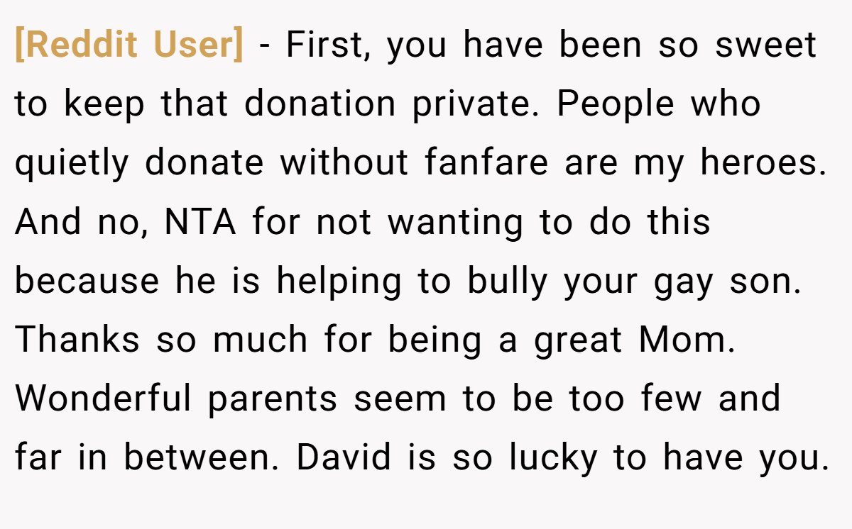 [Reddit User] - First, you have been so sweet to keep that donation private. People who quietly donate without fanfare are my heroes. And no, NTA for not wanting to do this because he is helping to bully your gay son. Thanks so much for being a great Mom. Wonderful parents seem to be too few and far in between. David is so lucky to have you.