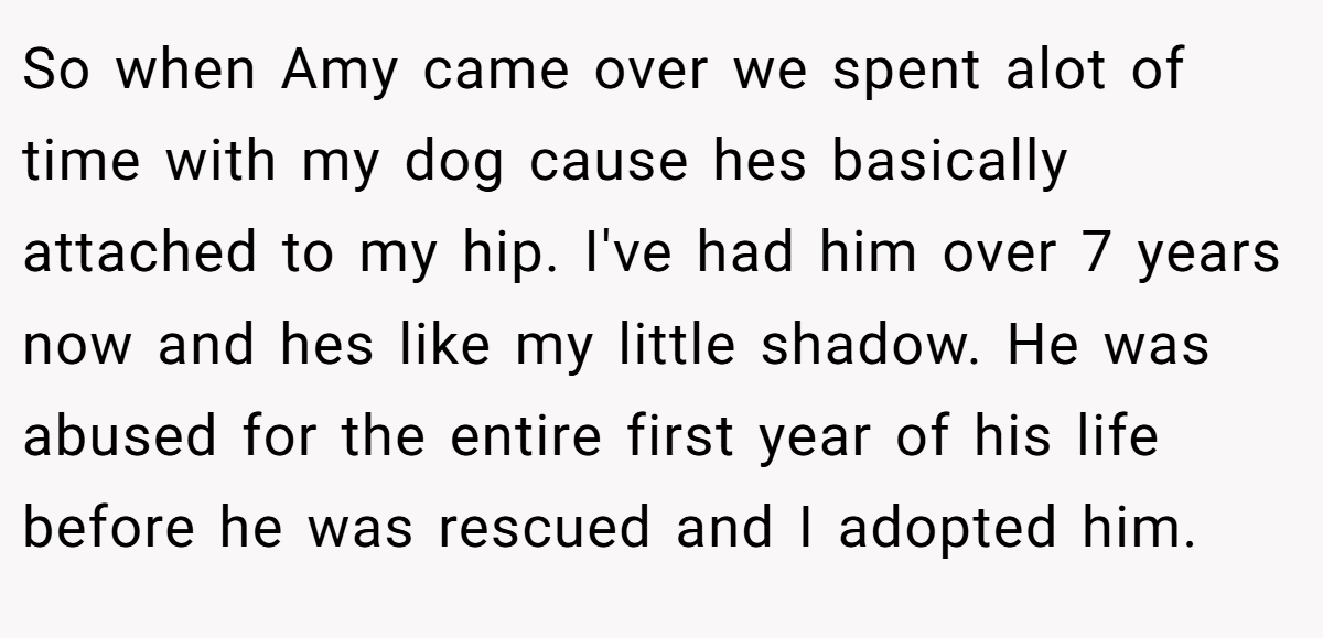 So when Amy came over we spent alot of time with my dog cause hes basically attached to my hip. I've had him over 7 years now and hes like my little shadow. He was abused for the entire first year of his life before he was rescued and I adopted him.
