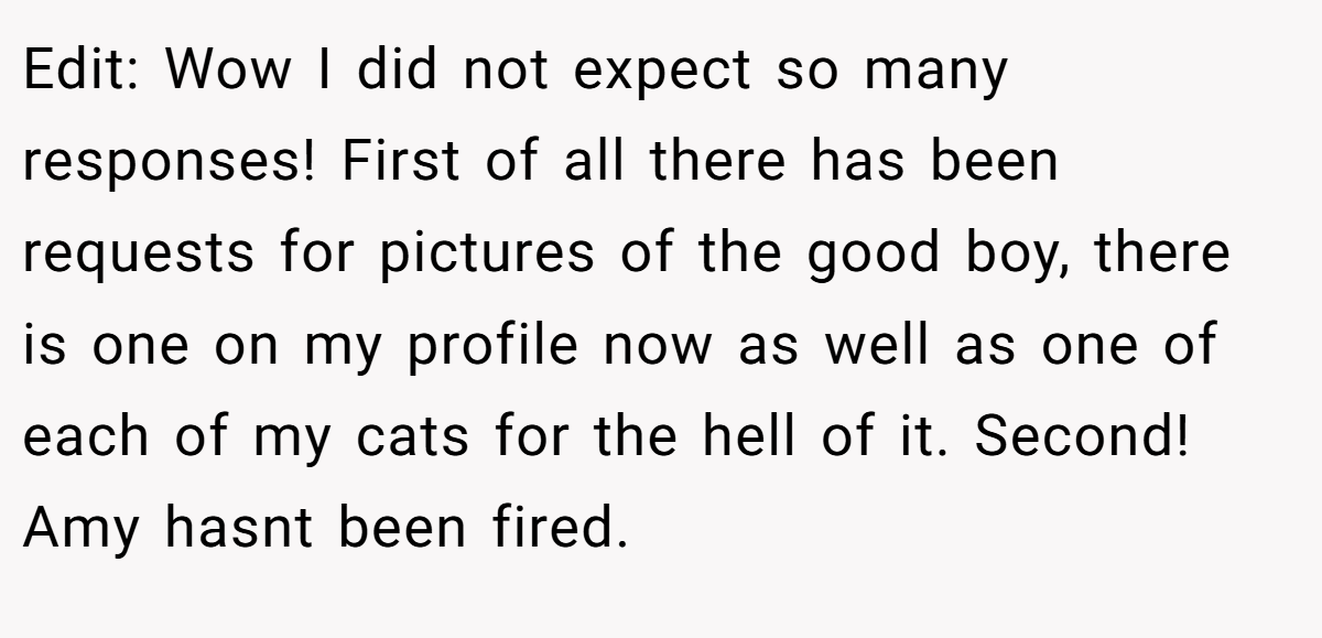 Edit: Wow I did not expect so many responses! First of all there has been requests for pictures of the good boy, there is one on my profile now as well as one of each of my cats for the hell of it. Second! Amy hasnt been fired.