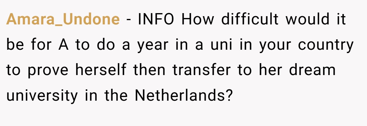 Amara_Undone − INFO How difficult would it be for A to do a year in a uni in your country to prove herself then transfer to her dream university in the Netherlands?