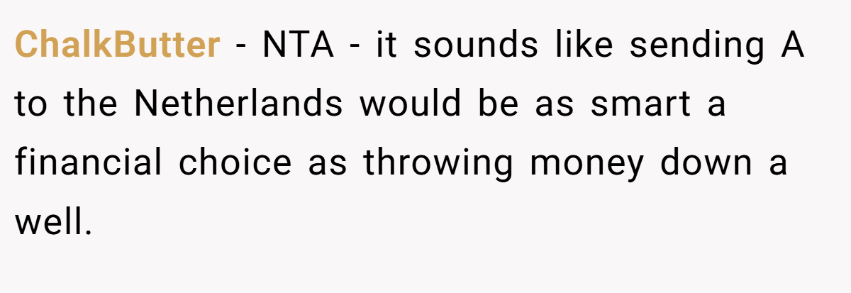 ChalkButter − NTA - it sounds like sending A to the Netherlands would be as smart a financial choice as throwing money down a well.
