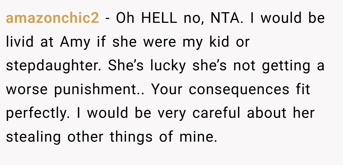 amazonchic2 − Oh HELL no, NTA. I would be livid at Amy if she were my kid or stepdaughter. She’s lucky she’s not getting a worse punishment.. Your consequences fit perfectly. I would be very careful about her stealing other things of mine.